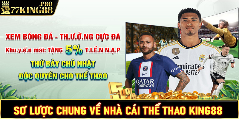 Vìa nét sơ lược chung về nhà cái thể thao King88 