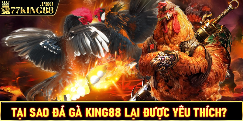 Tại sao đá gà King88 lại thu hút nhiều bet thủ?